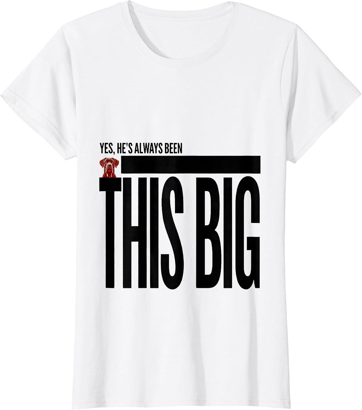 Women's Yes, He's Always Been This Big Funny Great Dane Dog Lover T-Shirt - White