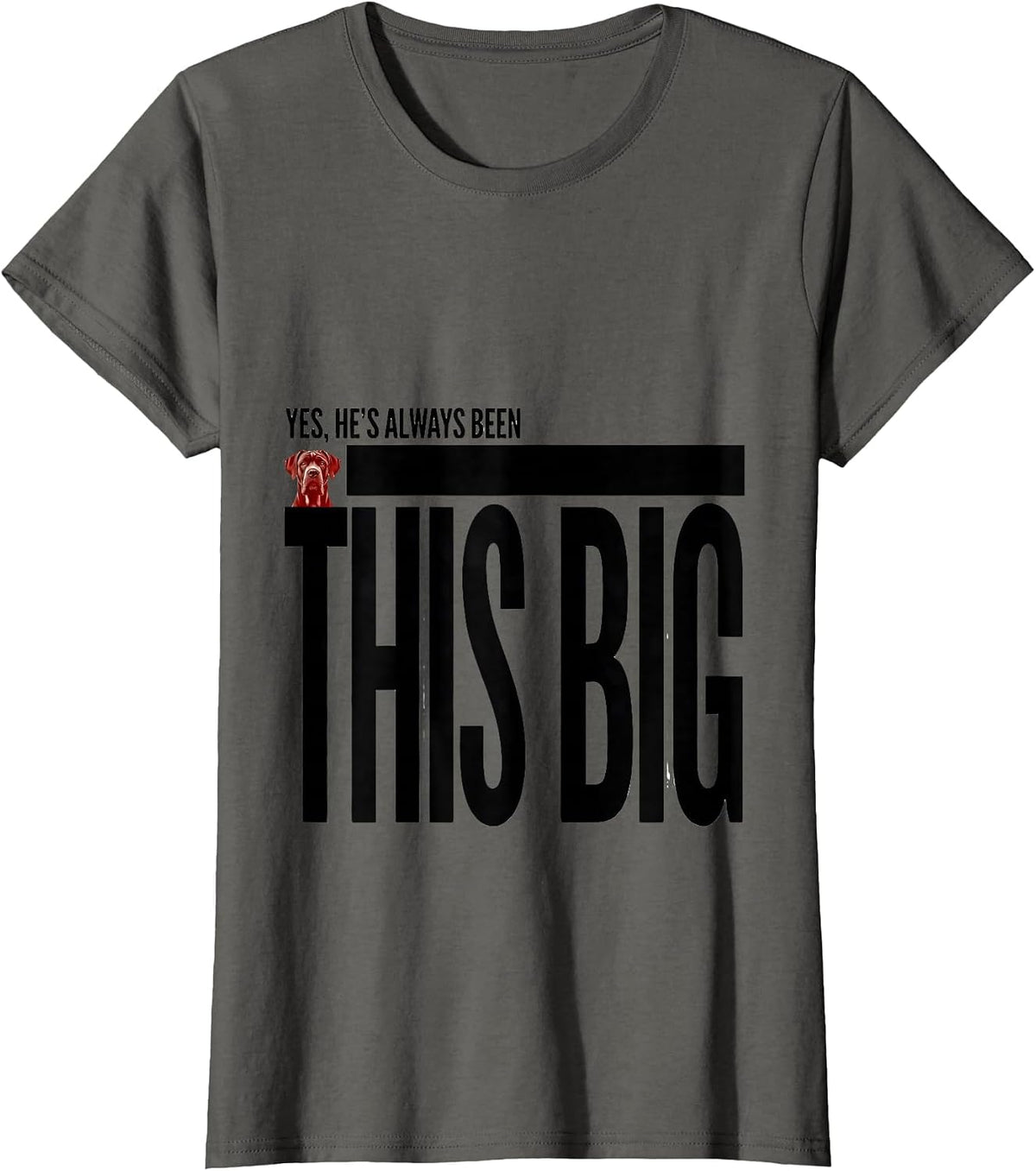 Women's Yes, He's Always Been This Big Funny Great Dane Dog Lover T-Shirt - Asphalt Grey