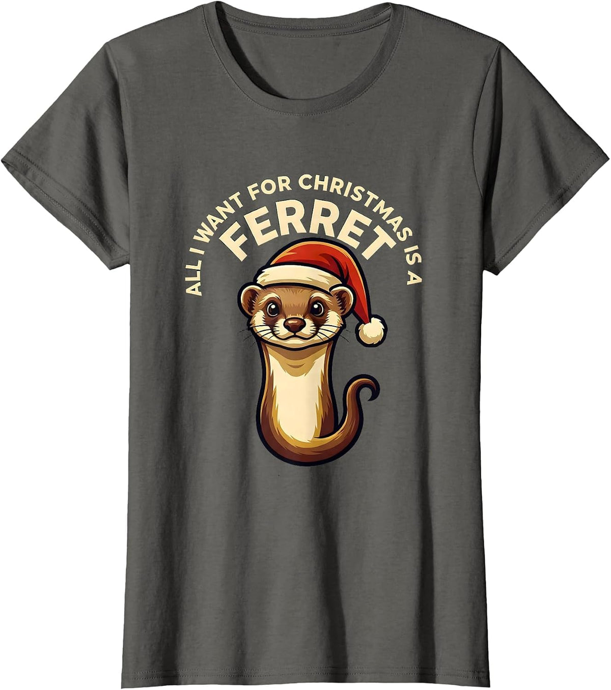 Women's All I Want For Christmas Is A Ferret Funny Ferret Lover T-Shirt - Asphalt Grey