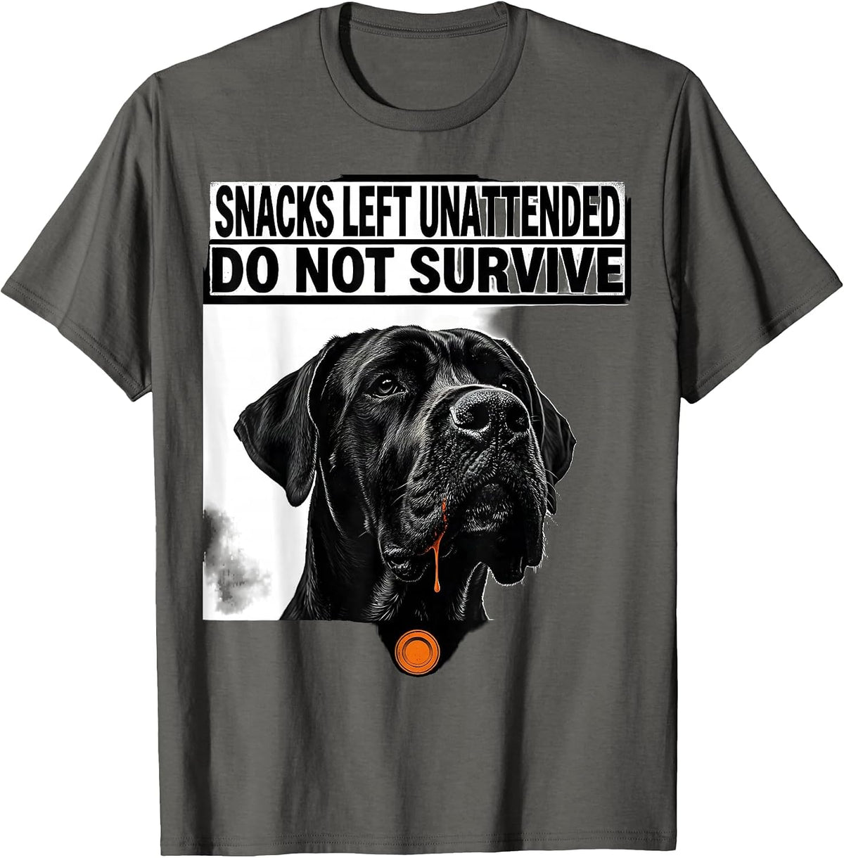 Men's Snacks Left Unattended Do Not Survive Funny Great Dane Dog T-Shirt - Asphalt Grey