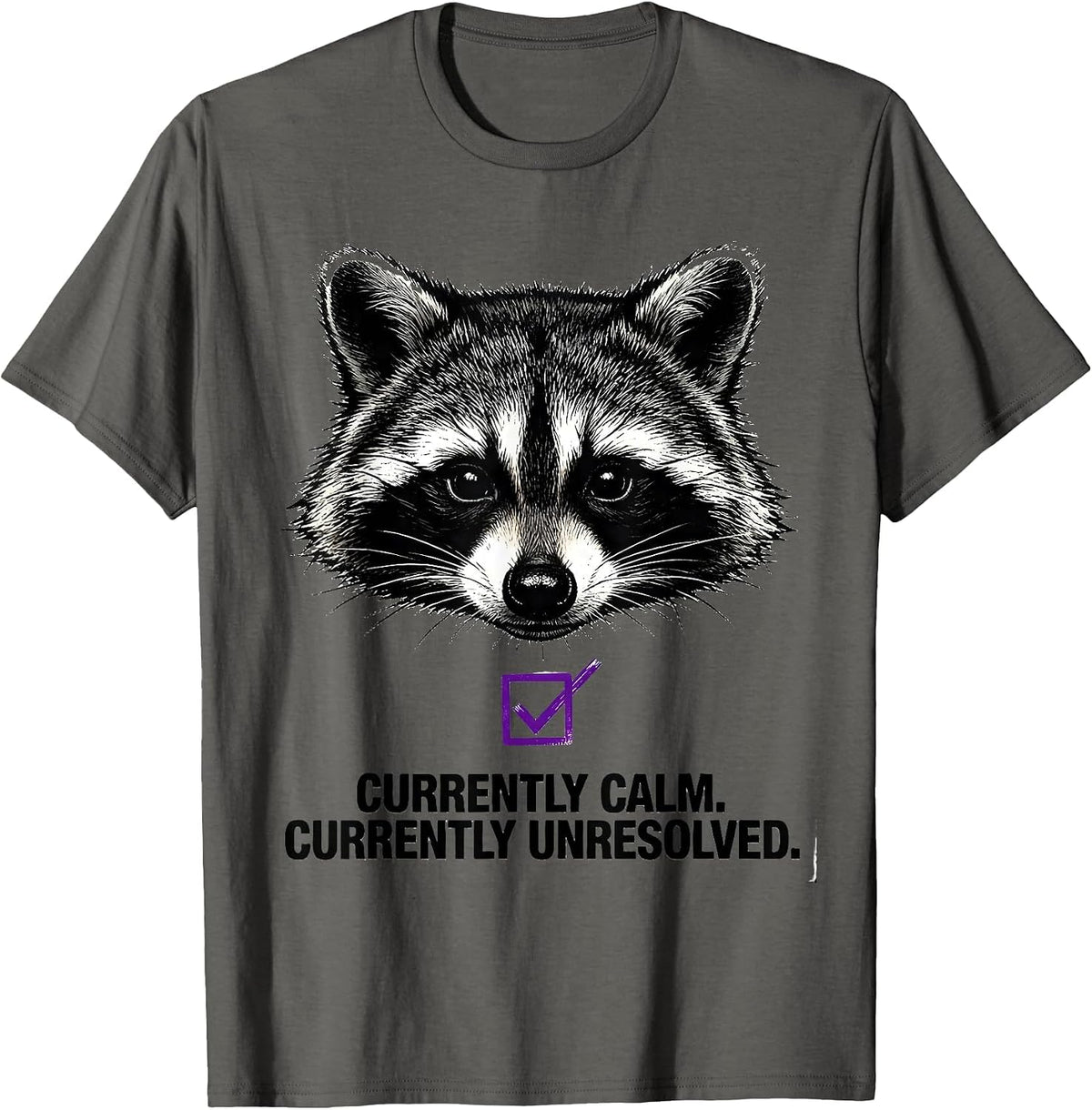 Men's Currently Calm Currently Unresolved Funny Raccoon Humor T-Shirt - Asphalt Grey