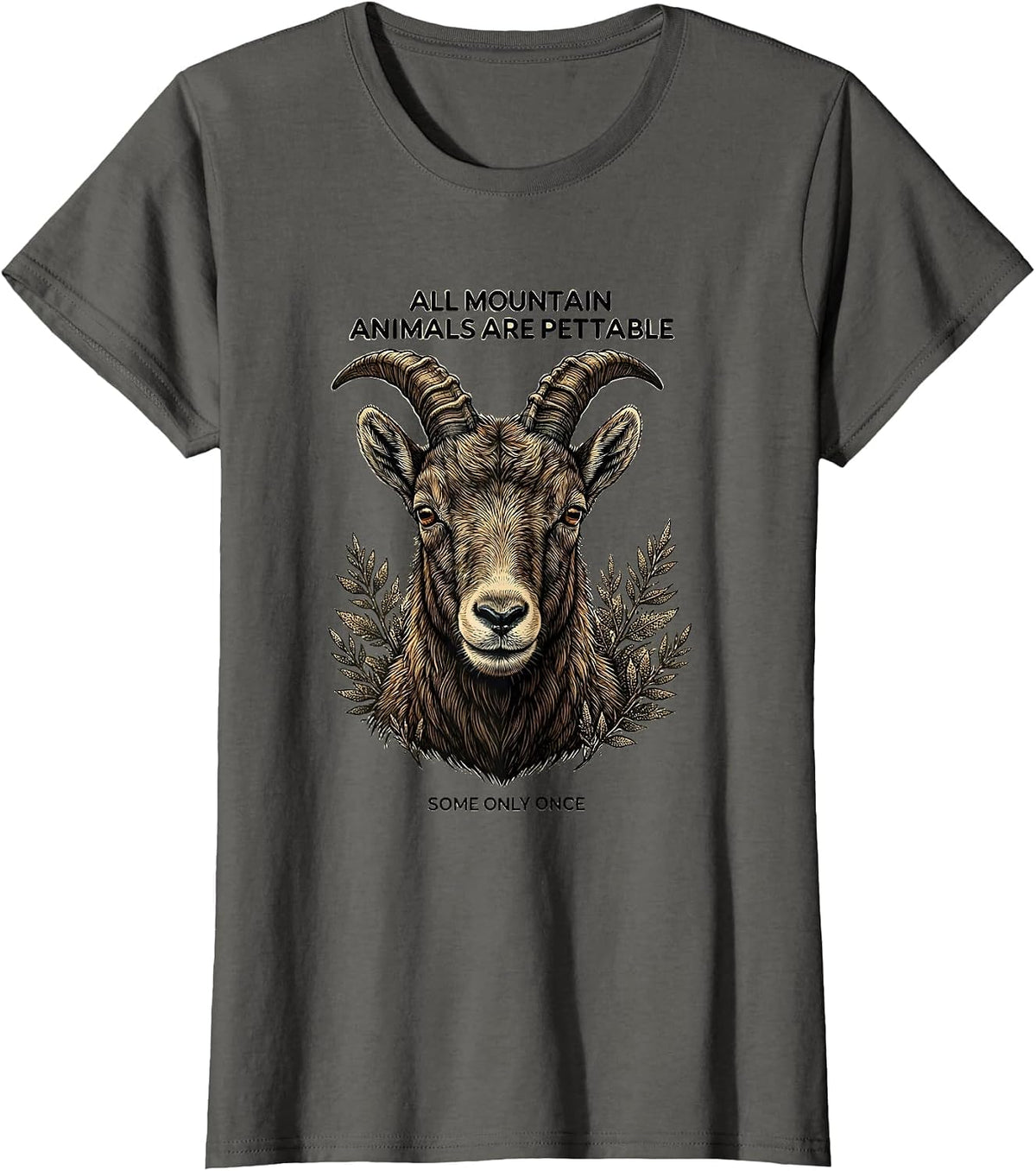 Women's All Mountain Animals Are Pettable Some Only Once Funny T-Shirt - Asphalt Grey
