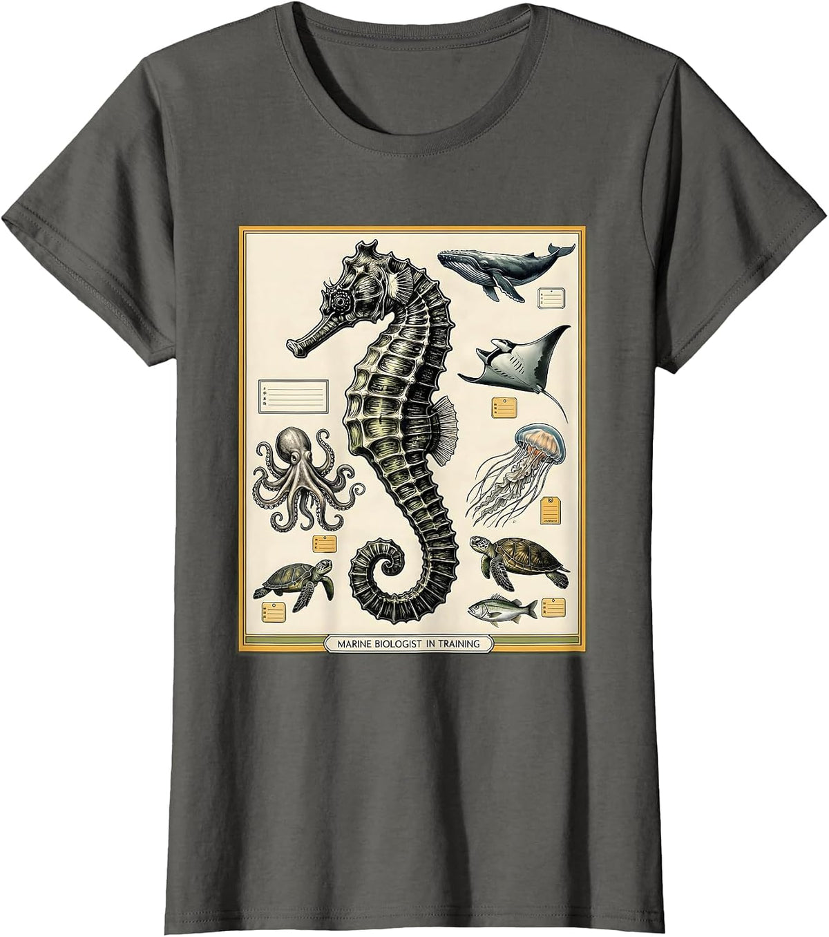 Women's Marine Biologist In Training Botanical Sea Creature T-Shirt - Asphalt Grey