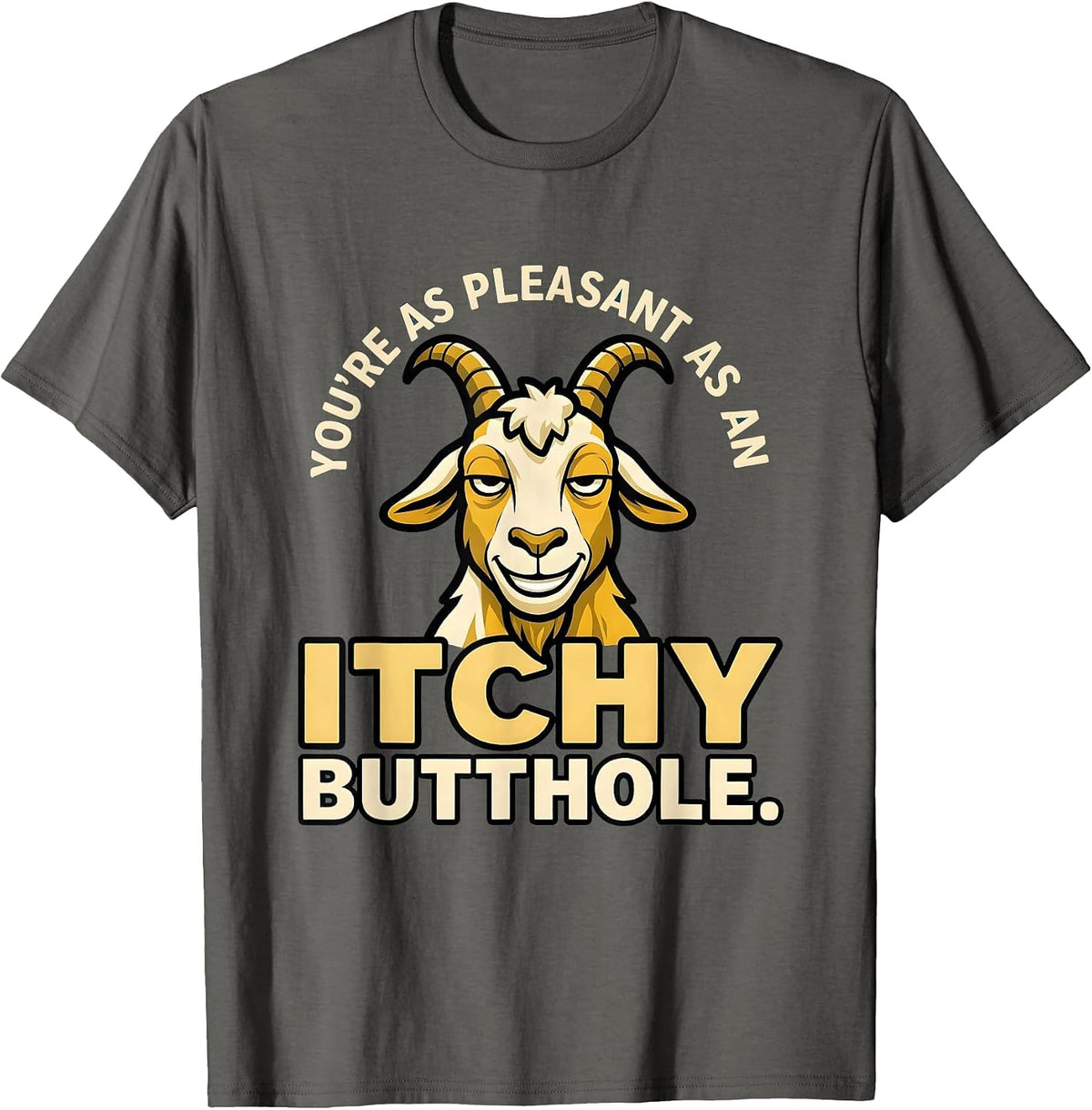 You're As Pleasant As An Itchy Butthole Funny T-Shirt - Asphalt Grey