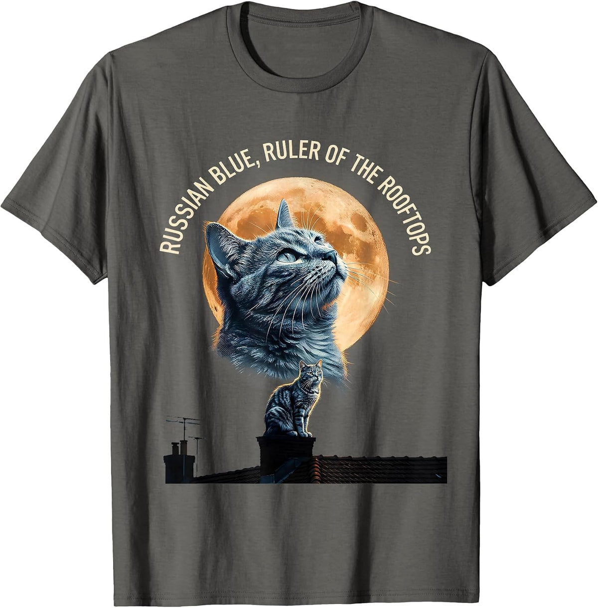 Russian Blue Ruler of the Rooftops 90s Retro Cat Art T-Shirt - Asphalt Grey