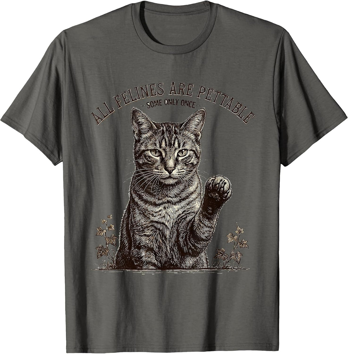 All Felines Are Pettable Some Only Once Funny Cat Lover T-Shirt - Asphalt Grey