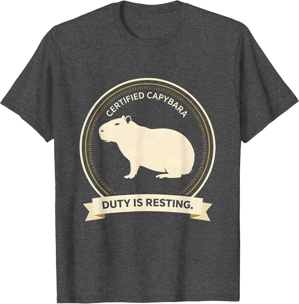 Certified Capybara Duty Is Resting Funny Capybara Meme Gamer T-Shirt - Dark Heather Grey