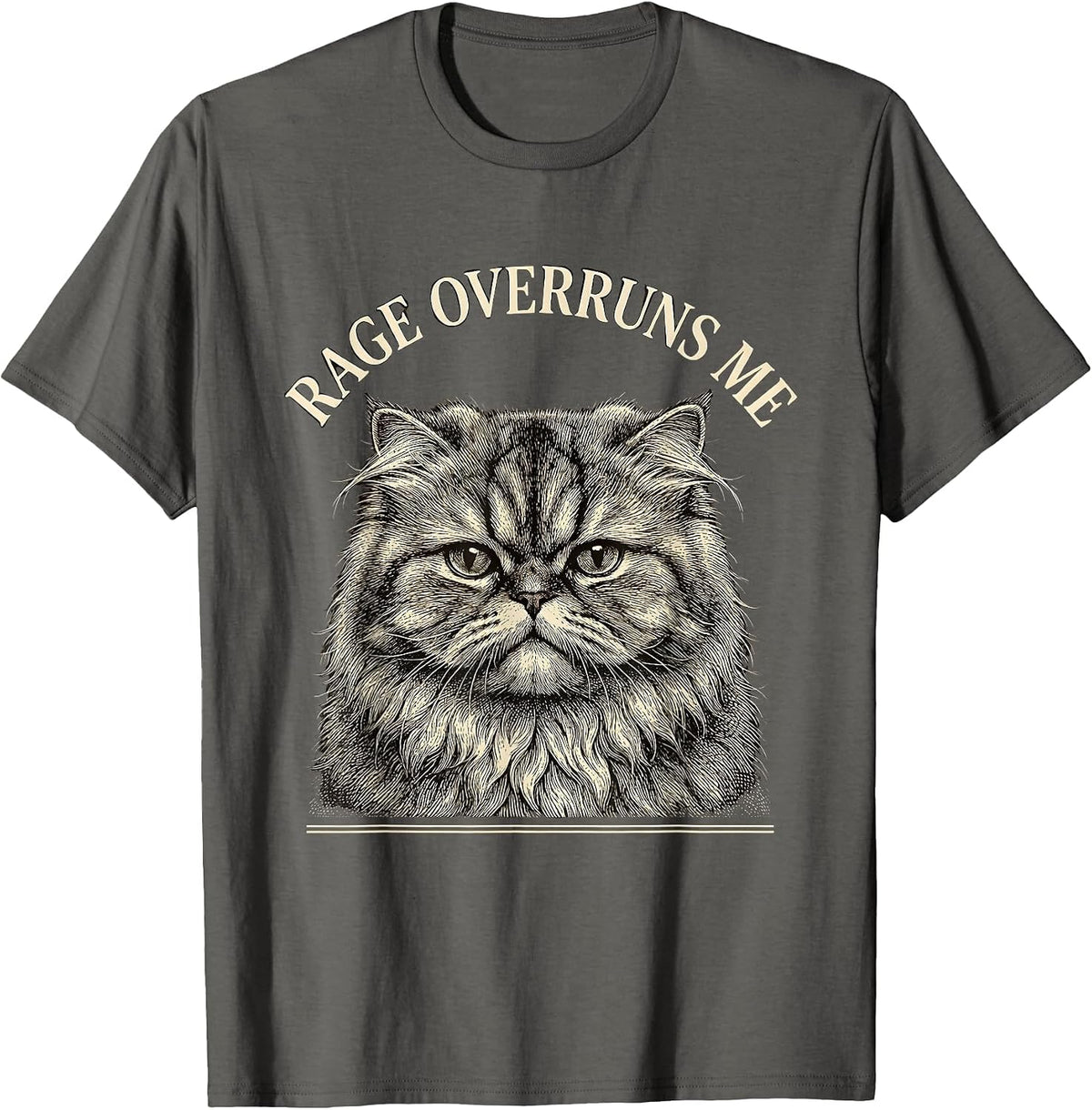 Rage Overruns Me Crosshatch Etching Persian Cat Meme Humor T-Shirt - Asphalt Grey