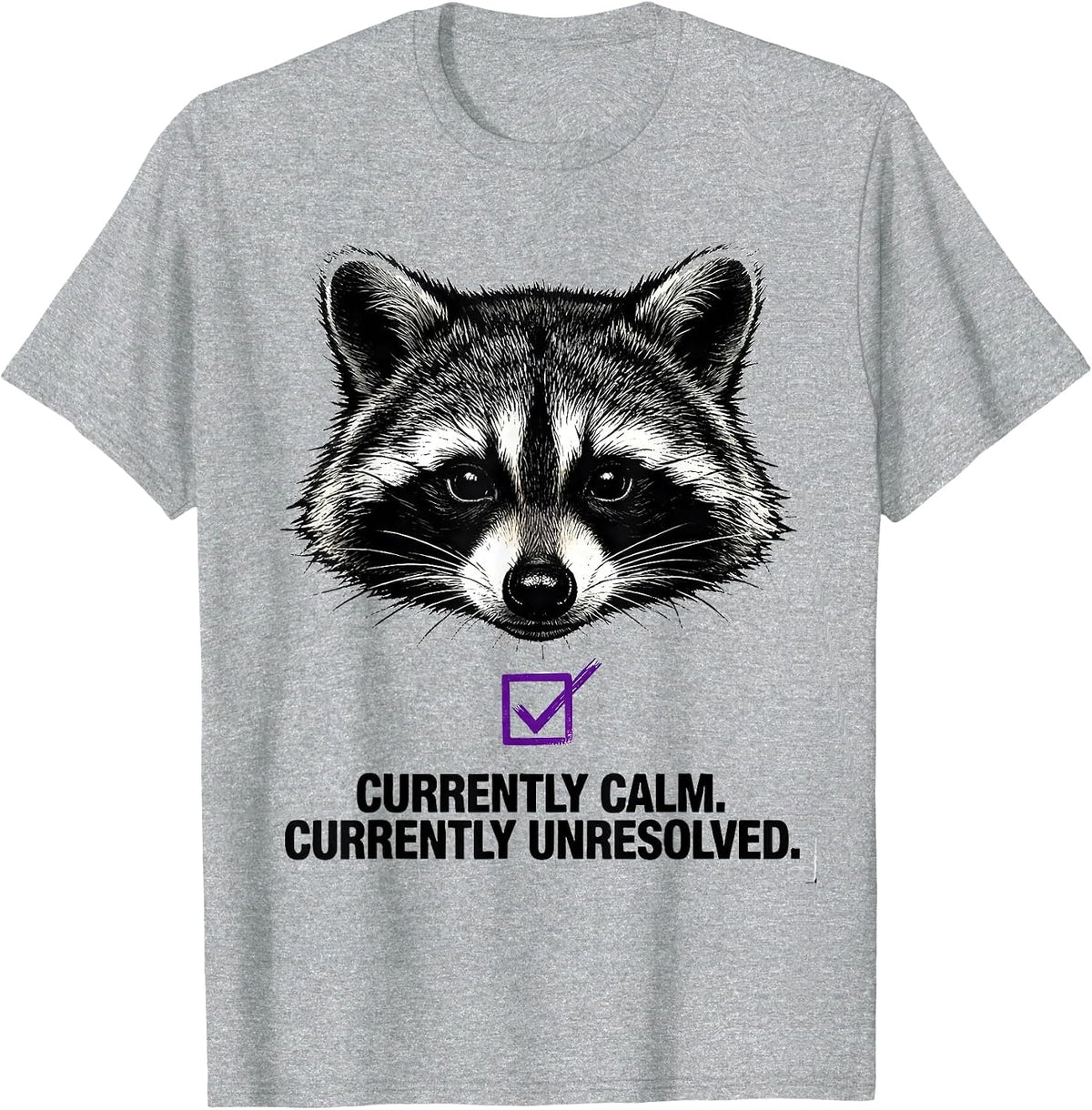 Men's Currently Calm Currently Unresolved Funny Raccoon Humor T-Shirt - Heather Grey