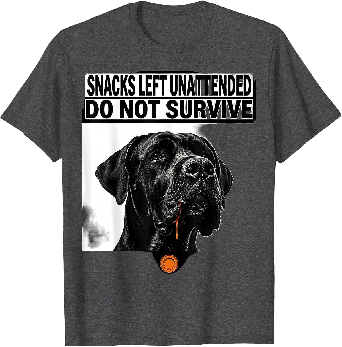 Men's Snacks Left Unattended Do Not Survive Funny Great Dane Dog T-Shirt - Dark Heather Grey