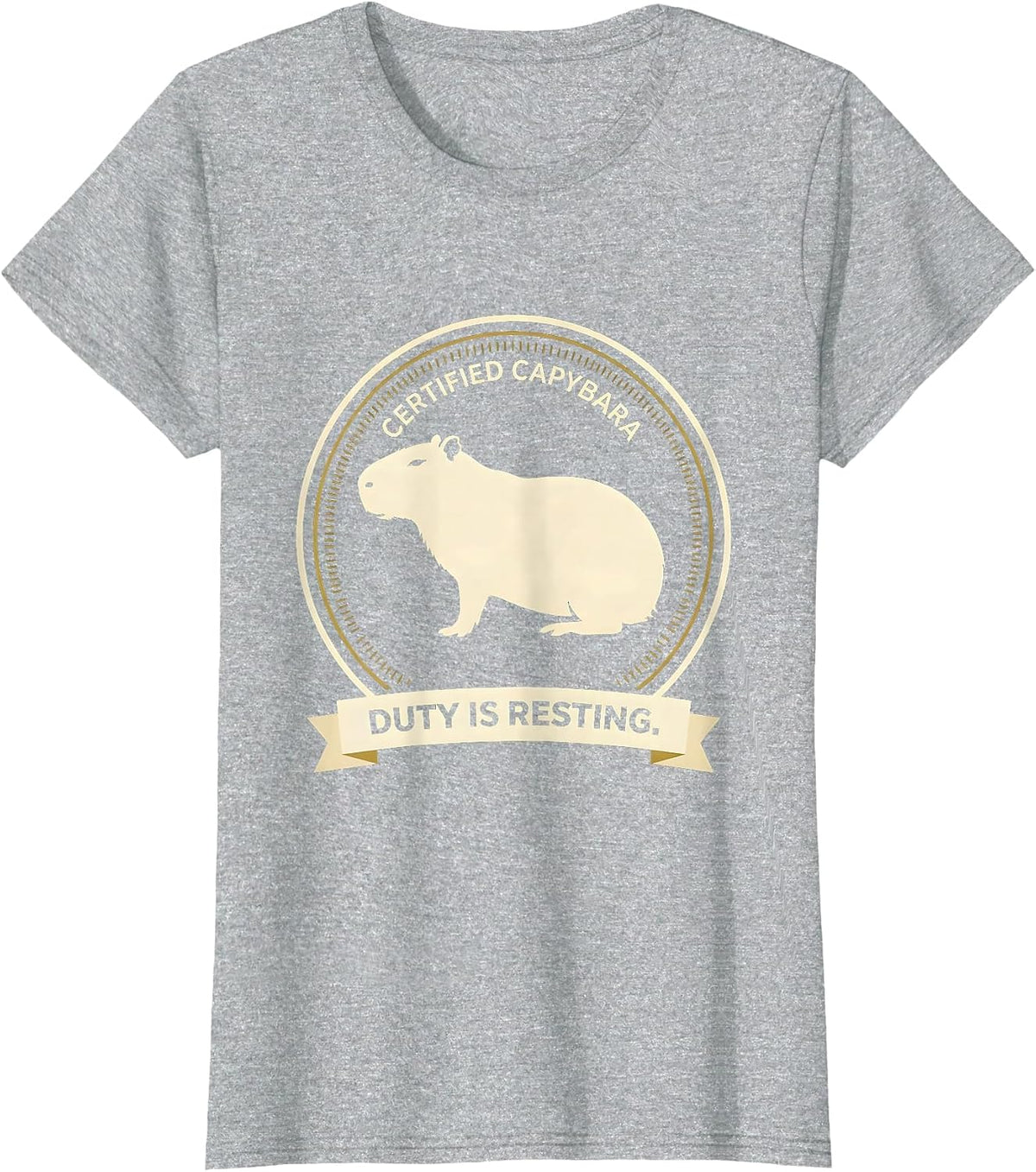 Certified Capybara Duty Is Resting Funny Capybara Meme Gamer T-Shirt - Heather Grey