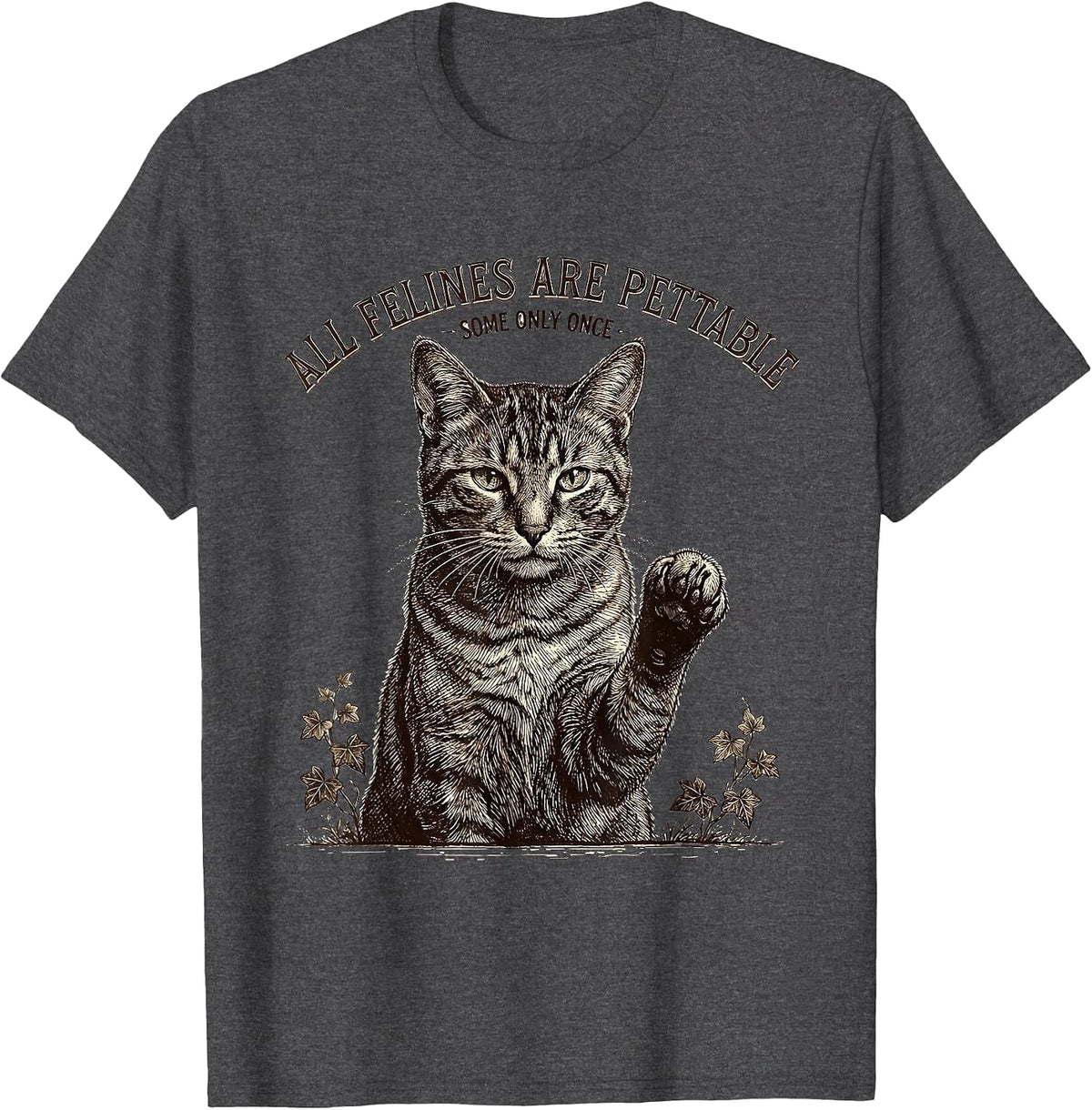 All Felines Are Pettable Some Only Once Funny Cat Lover T-Shirt - Dark Heather Grey