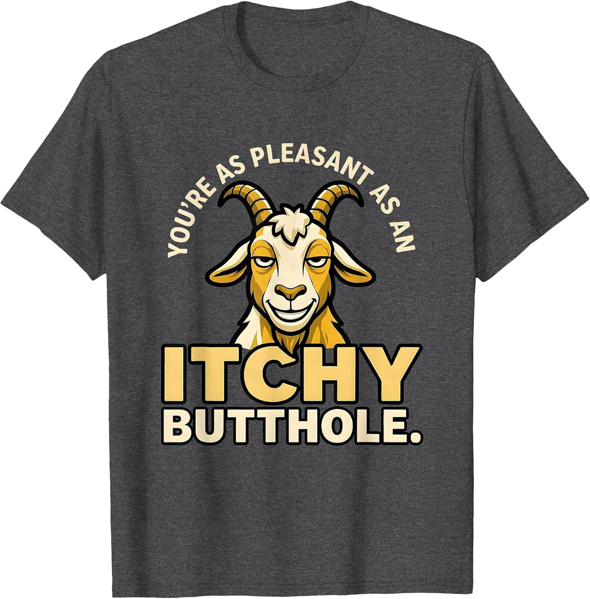 You're As Pleasant As An Itchy Butthole Funny T-Shirt - Dark Heather Grey
