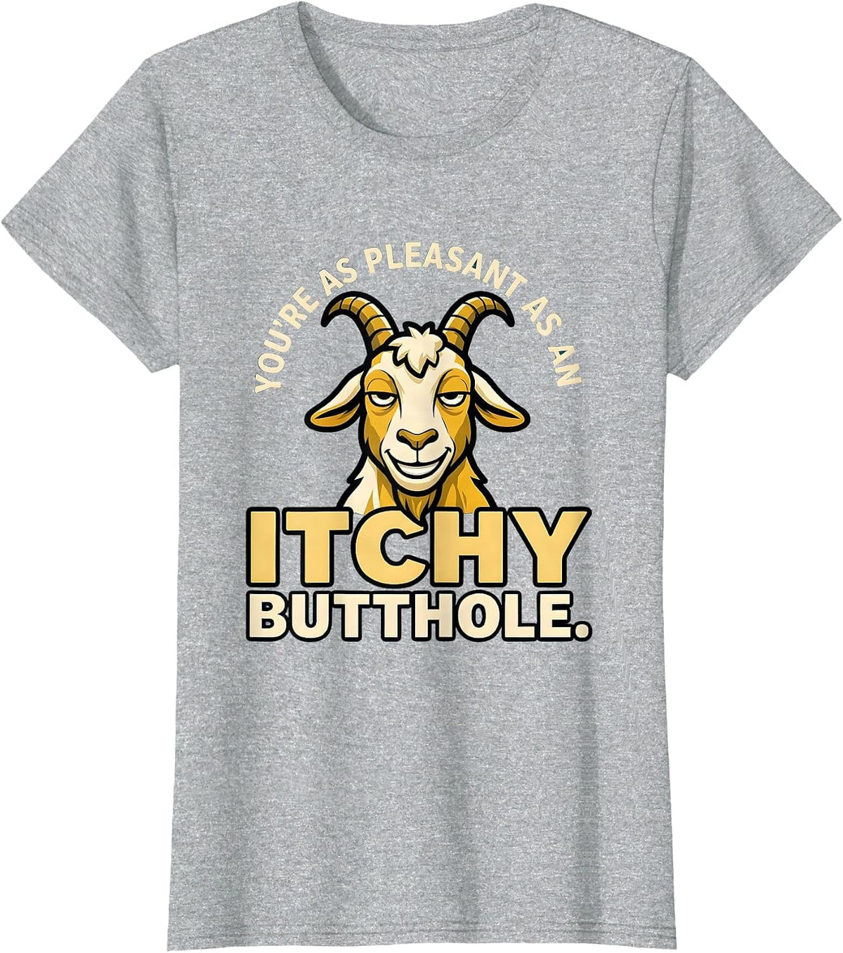 You're As Pleasant As An Itchy Butthole Funny T-Shirt - Heather Grey