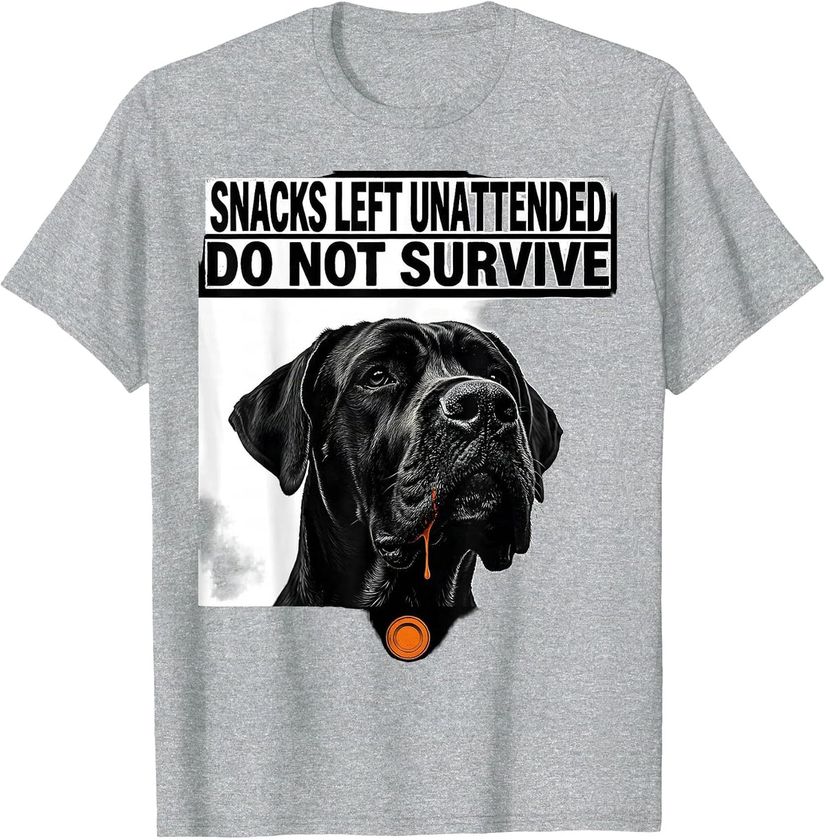 Men's Snacks Left Unattended Do Not Survive Funny Great Dane Dog T-Shirt - Heather Grey