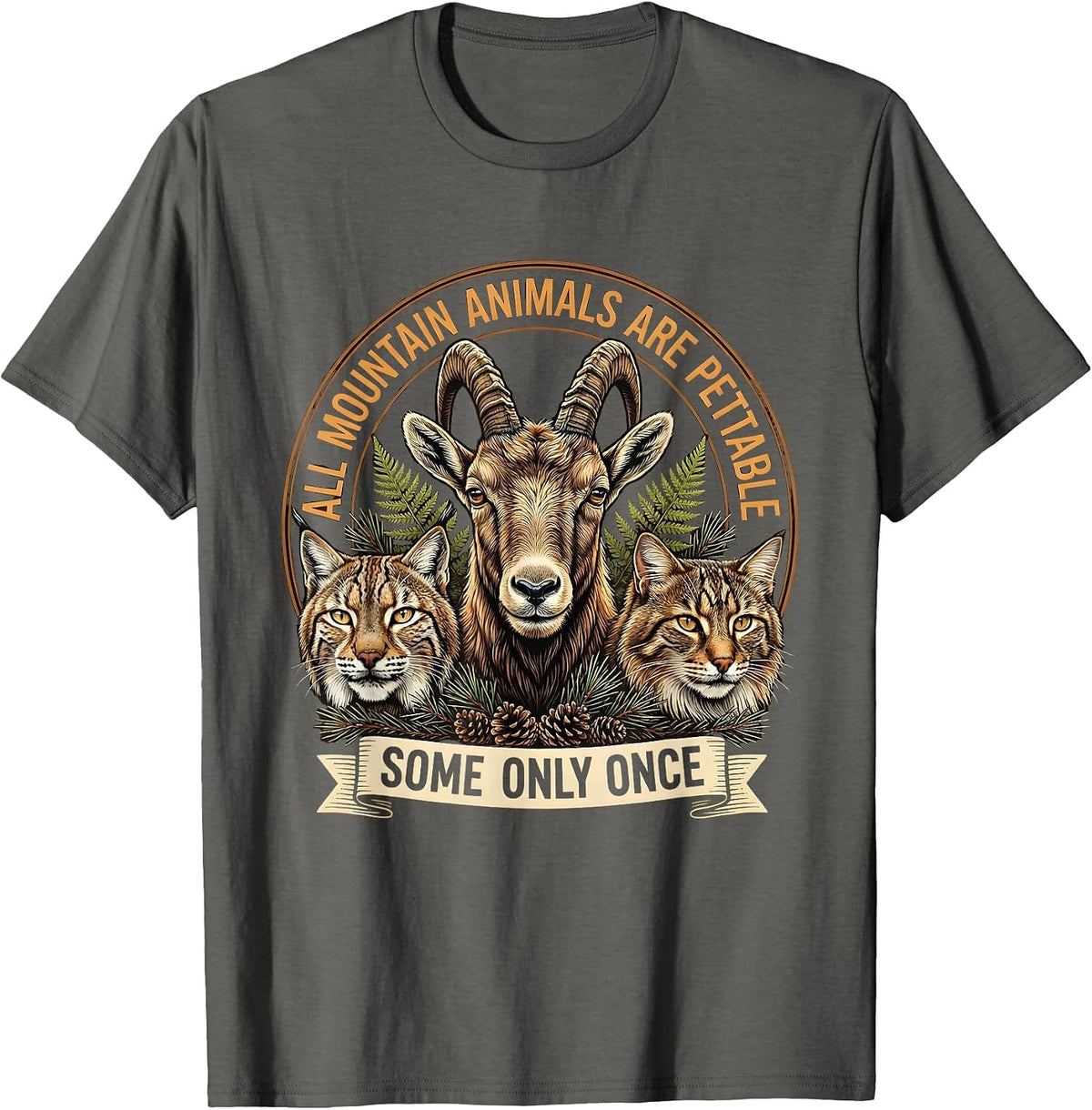 All Mountain Animals Are Pettable, Some Only Once Funny T-Shirt - Asphalt Grey