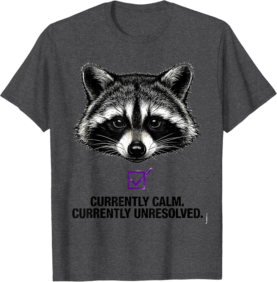 Men's Currently Calm Currently Unresolved Funny Raccoon Humor T-Shirt - Dark Heather Grey