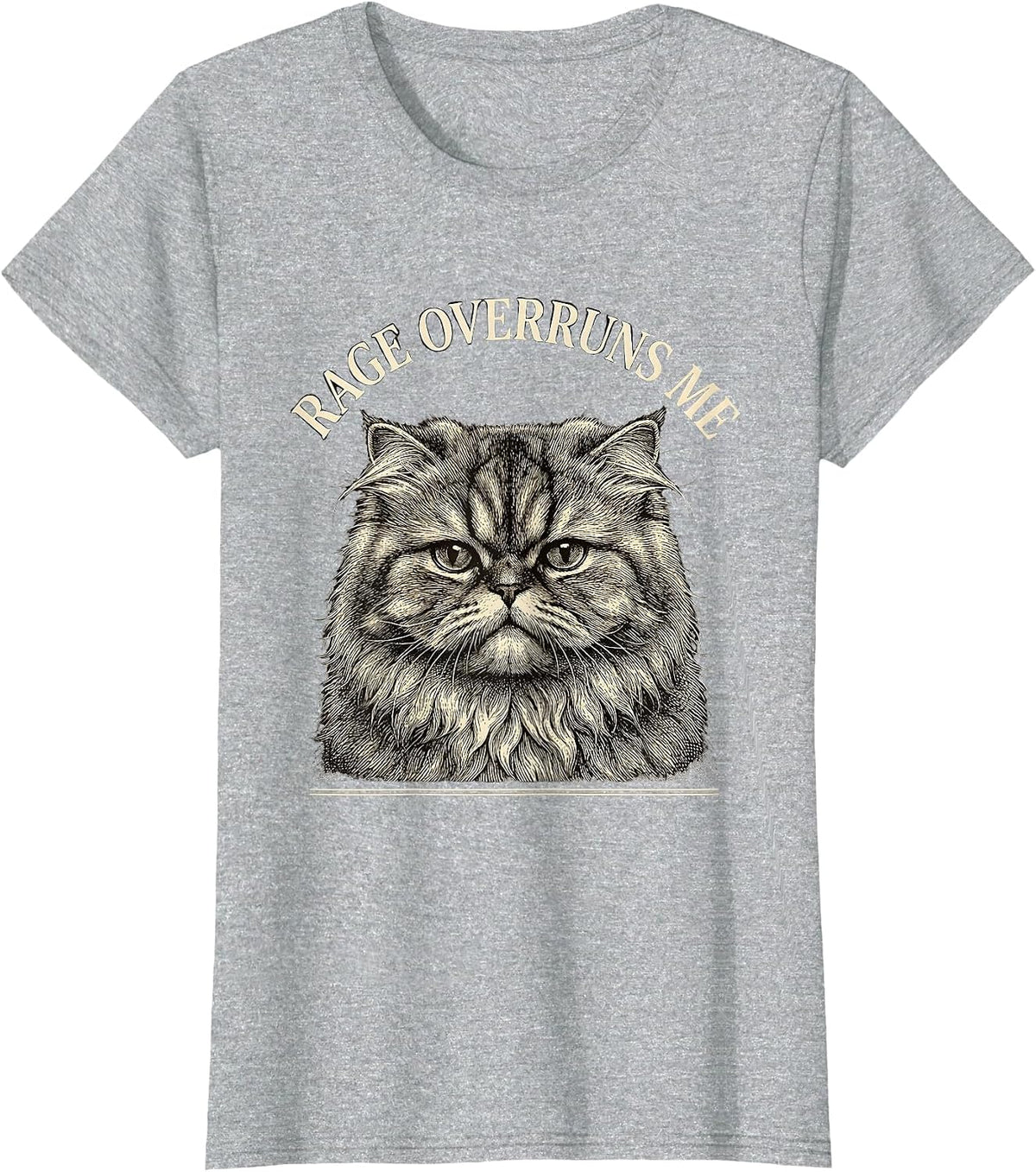 Rage Overruns Me Crosshatch Etching Persian Cat Meme Humor T-Shirt - Heather Grey