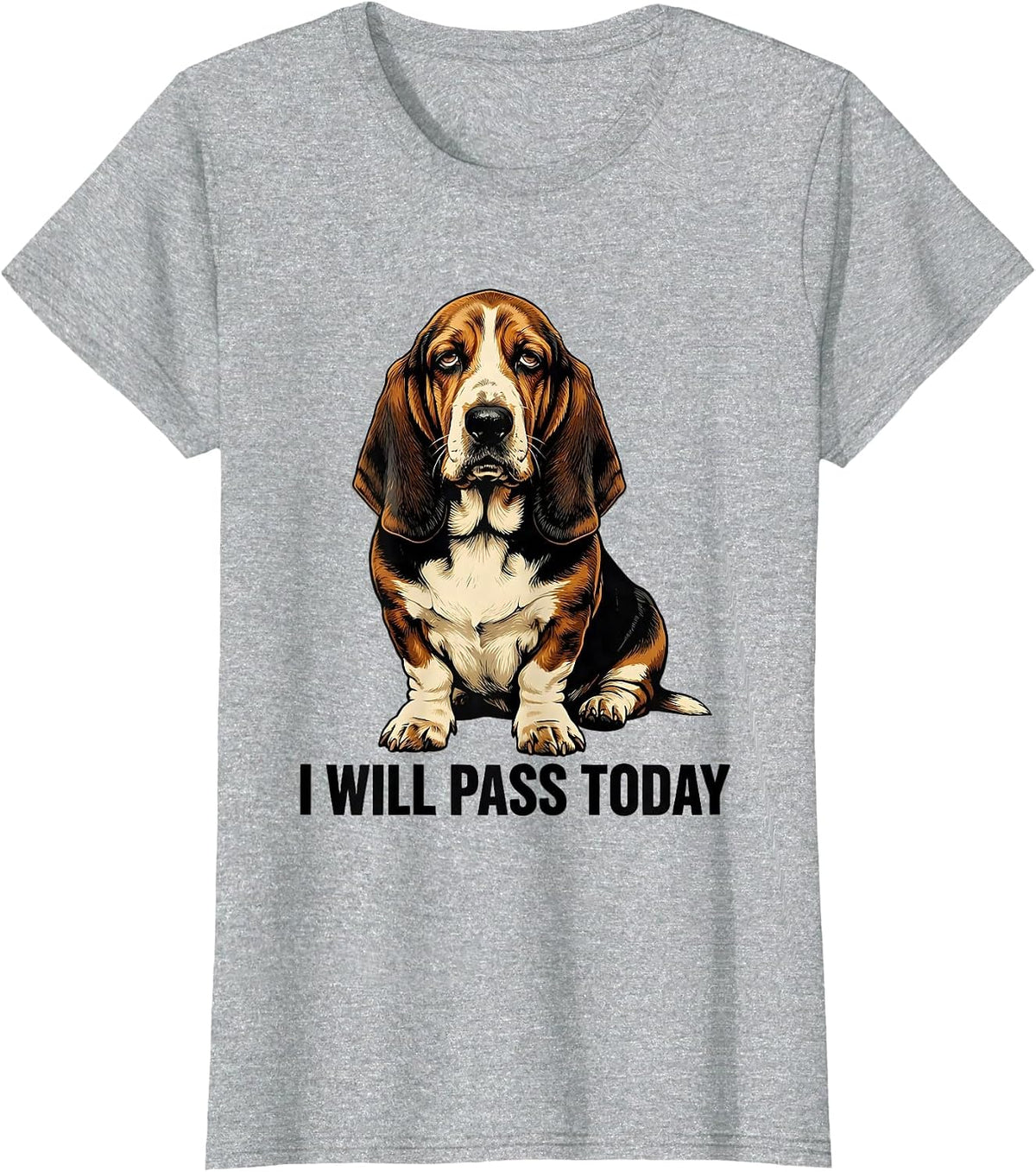 Women's I Will Pass Today Funny Basset Hound Dog Lover Dad Gift T-Shirt - Heather Grey