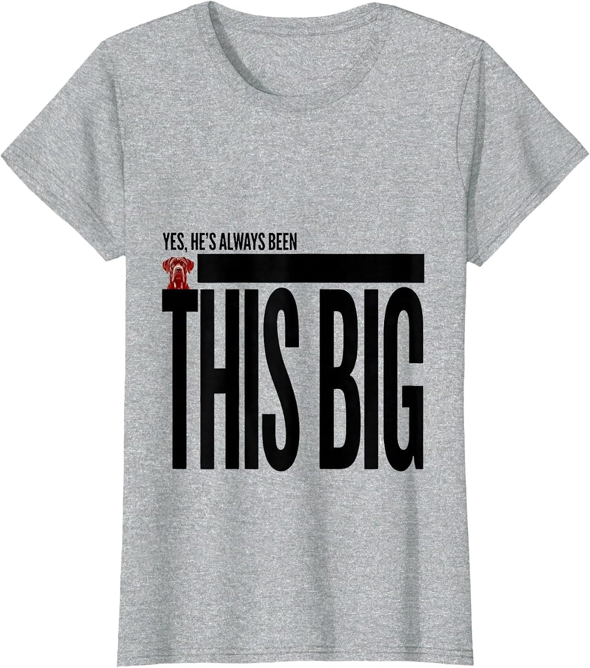 Women's Yes, He's Always Been This Big Funny Great Dane Dog Lover T-Shirt - Heather Grey