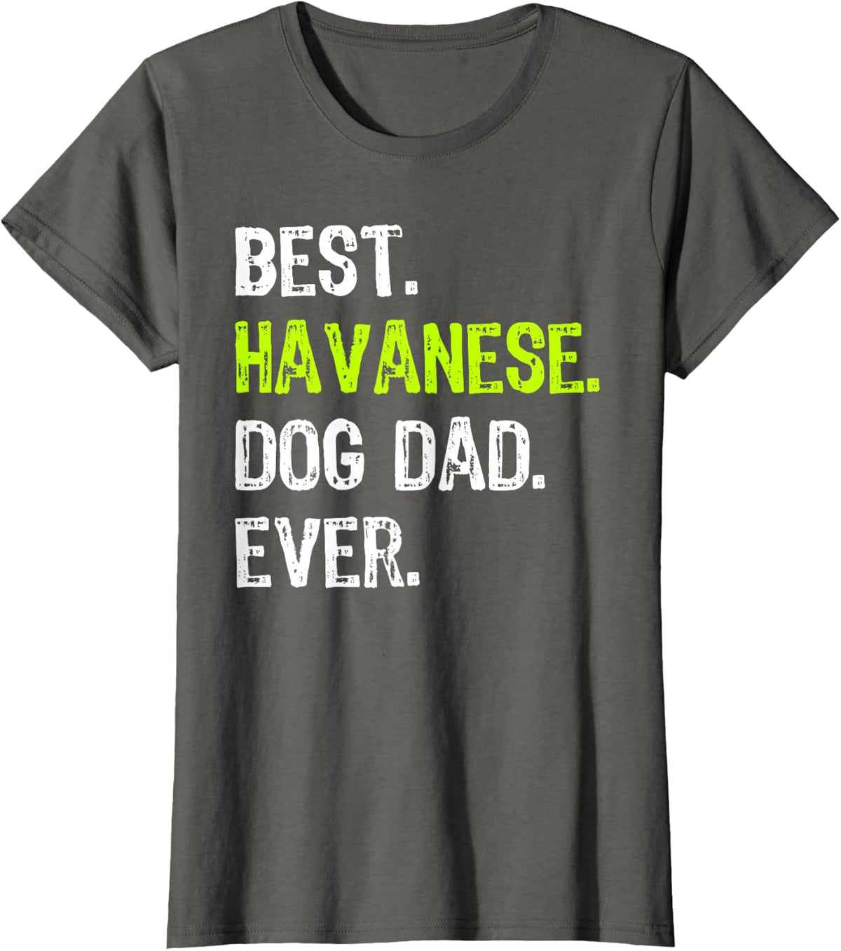Havanese Dog Dad Fathers Day Dog Lovers T-Shirt - Asphalt Grey