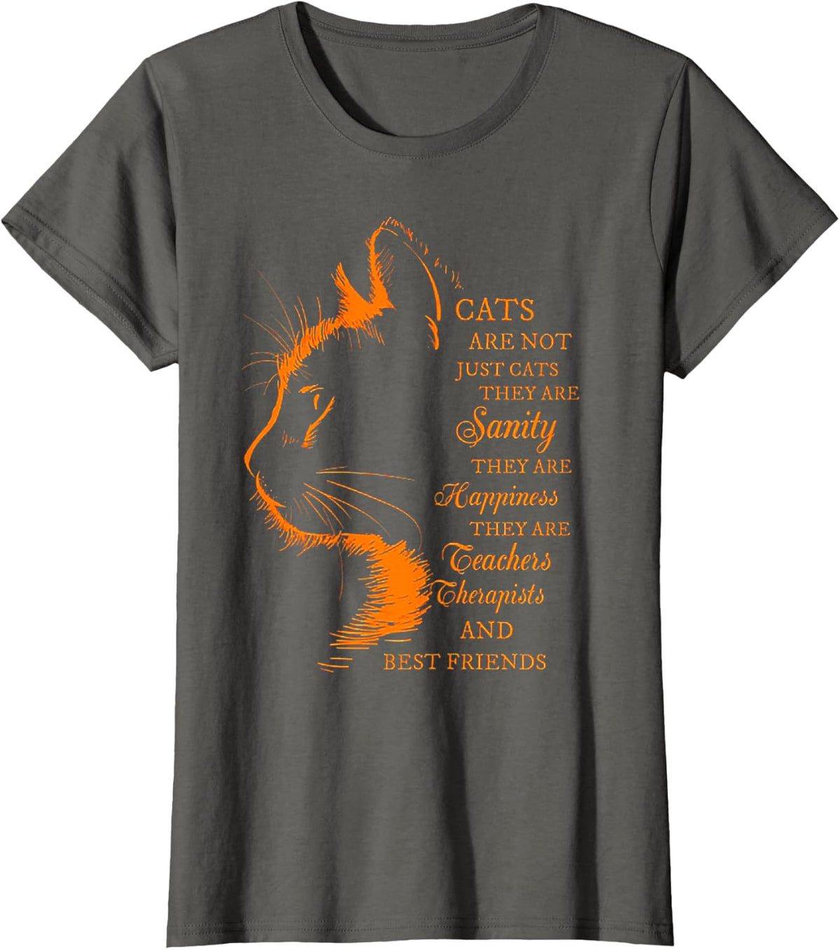 Cats Are Not Just Cats They Are Sanity T-Shirt - Asphalt Grey