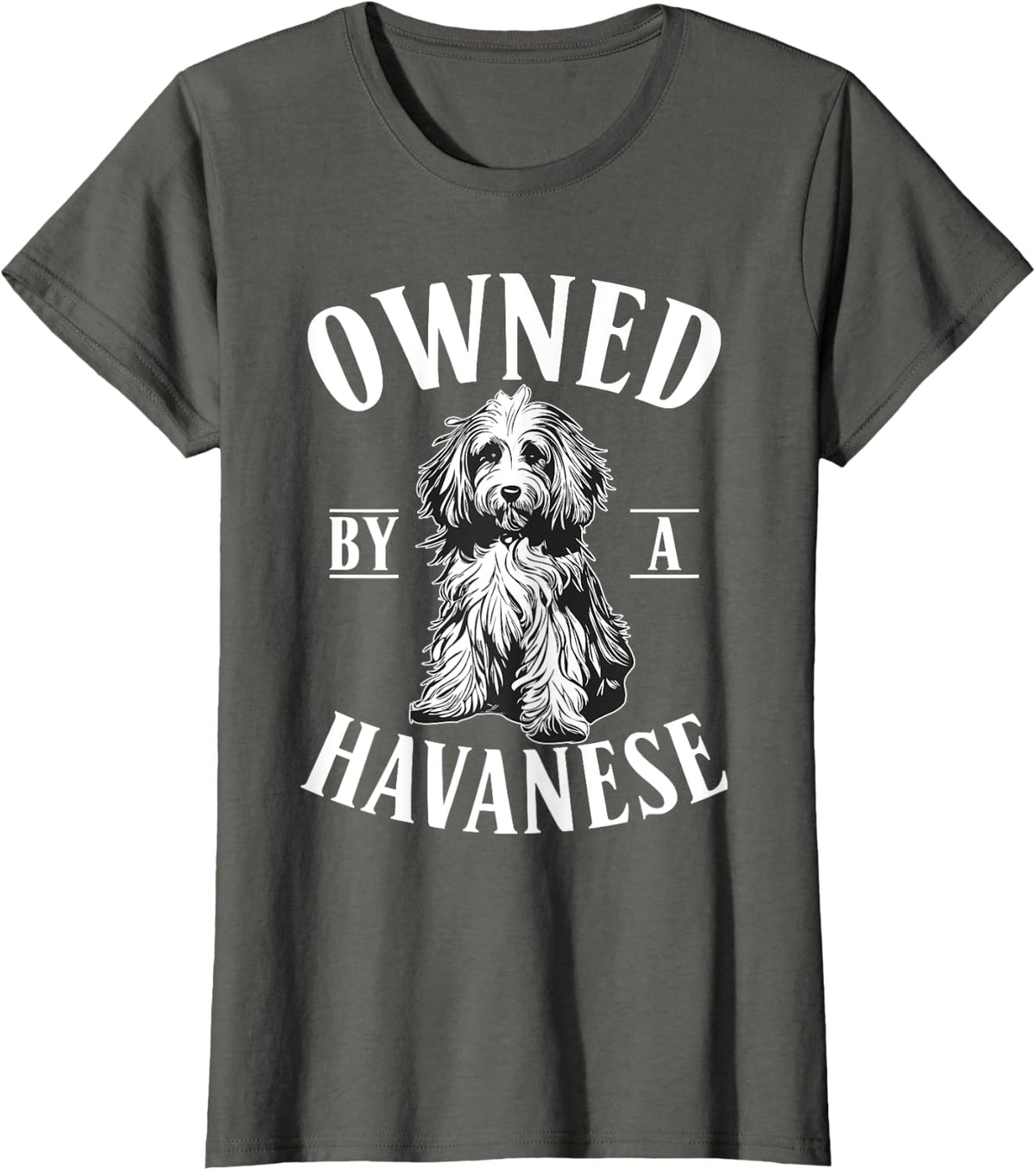 Owned by a Havanese T-Shirt - Asphalt Grey