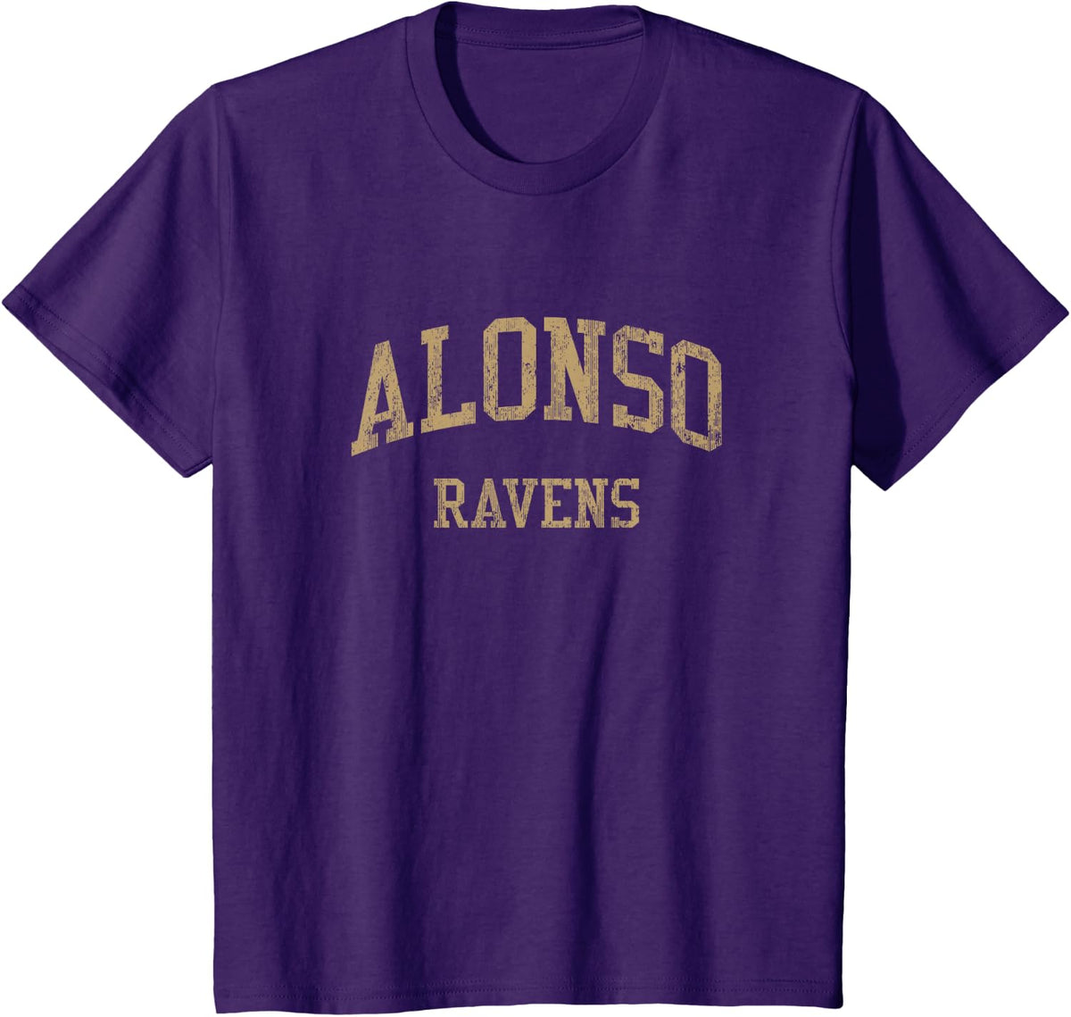 Alonso High School Vintage Sports T Shirts Tampa FL Tees HS Retro - Purple