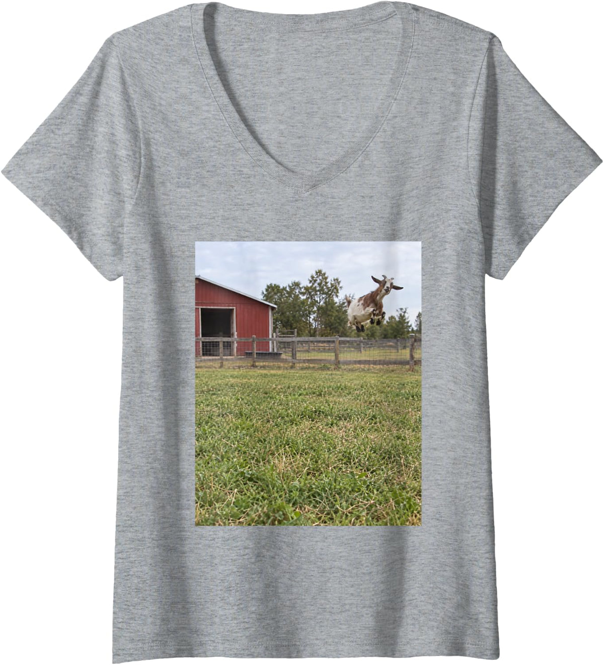 Women's Funny Goat Leap Photobomb Farm Animal Photo Meme V-Neck T-Shirt - Heather Grey