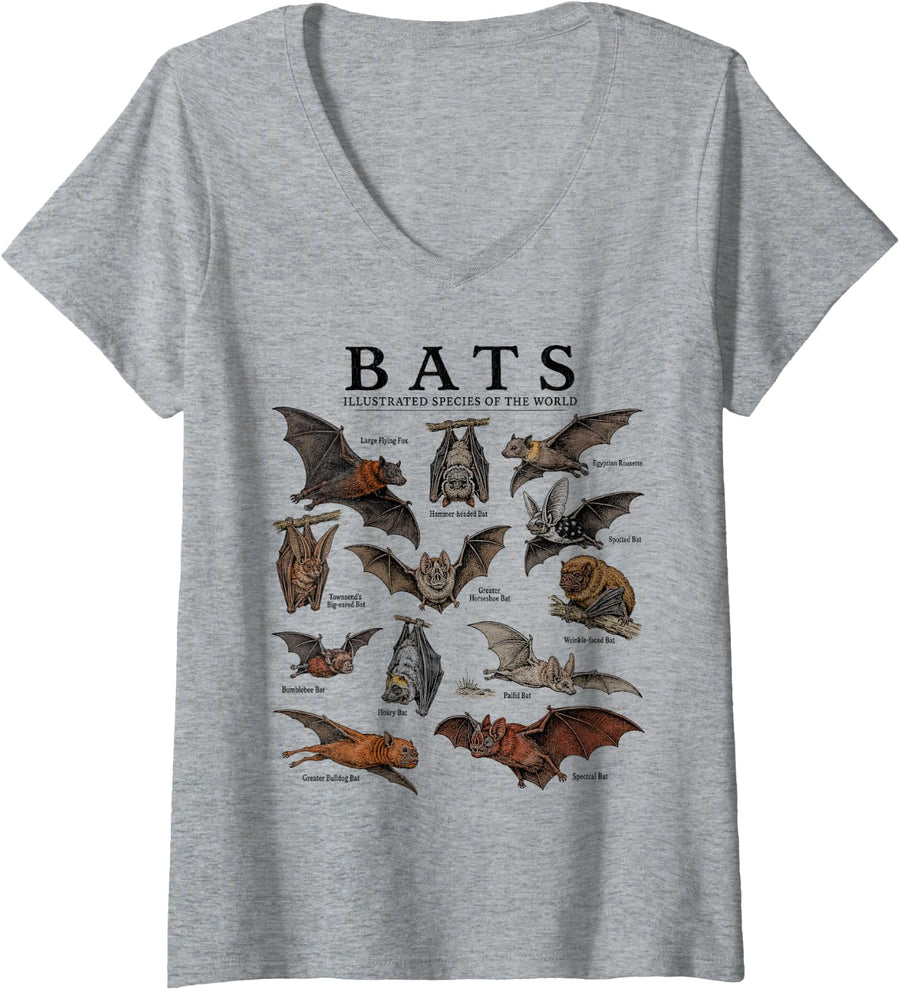 Women's Bats Vintage Species Chart Nocturnal Animal Nature V-Neck T-Shirt - Heather Grey