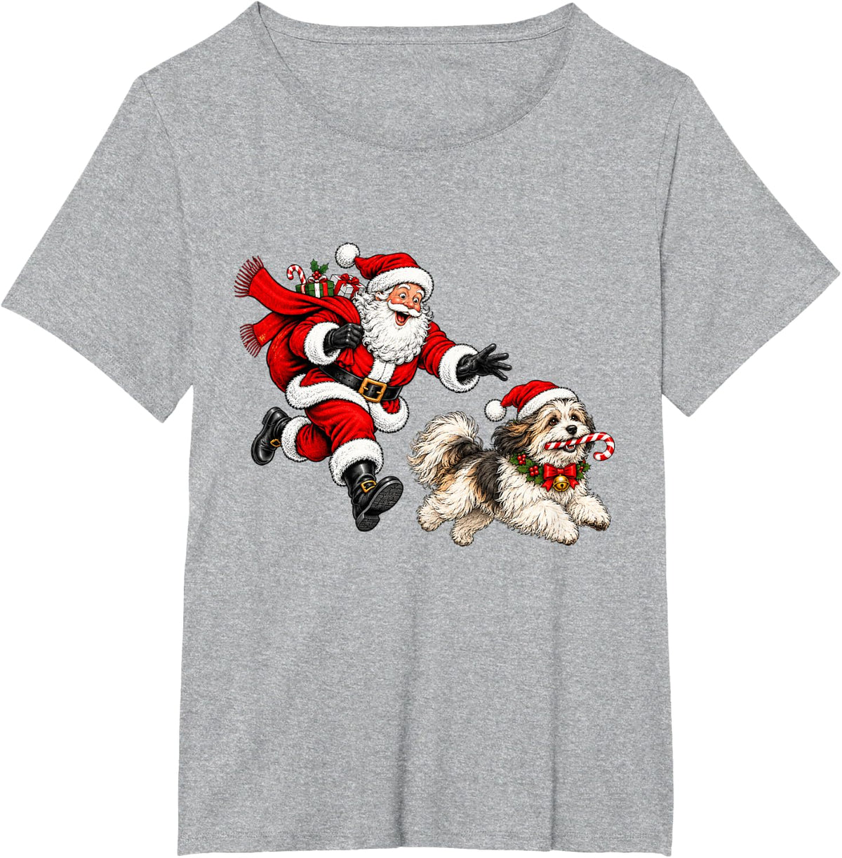 Funny Santa Chasing Havanese Christmas Dog Mom Pet T-Shirt - Heather Grey